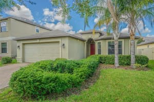 10115 Count Fleet Dr, RUSKIN