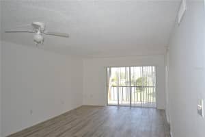256 CYPRESS LANE, OLDSMAR, FL 34677 - MLS#MFRTB8417091