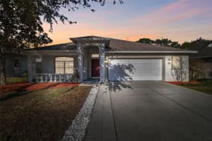 15807 LEATHERLEAF LANE, LAND O LAKES, FL 34638 - MLS#MFRTB8417117