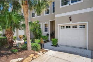 564 Black Lion Dr Ne, ST PETERSBURG