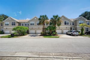 564 BLACK LION DRIVE, ST PETERSBURG, FL 33716 - MLS#MFRTB8417138