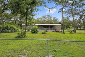 11127 MCMULLEN ROAD, RIVERVIEW, FL 33569 - MLS#MFRTB8417156