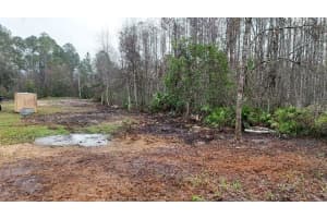 10733 OLSEN STREET, NEW PORT RICHEY, FL 34654 - MLS#MFRTB8417205