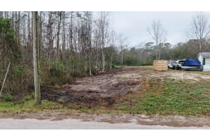 10733 OLSEN STREET, NEW PORT RICHEY, FL 34654 - MLS#MFRTB8417205