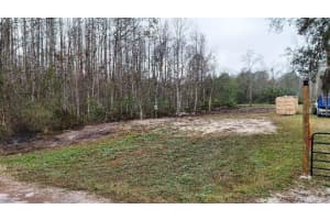 10733 OLSEN STREET, NEW PORT RICHEY, FL 34654 - MLS#MFRTB8417205