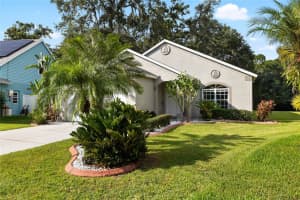 15934 STAGS LEAP DRIVE, LUTZ, FL 33559 Sold 09/08/25