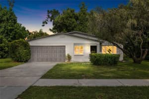 11325 N Rome Ave, TAMPA