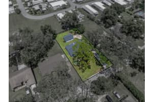 36247 SANTEELAH DRIVE, ZEPHYRHILLS, FL 33541 - MLS#MFRTB8417237
