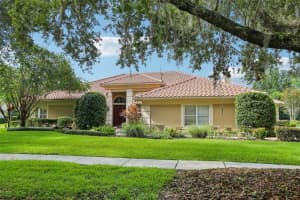 8939 Magnolia Chase Cir, TAMPA