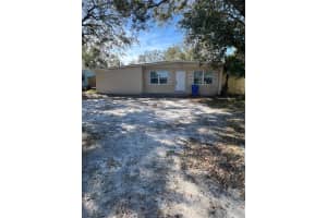 8507 GRAPEFRUIT AVENUE, TAMPA, FL 33619 - MLS#MFRTB8417247