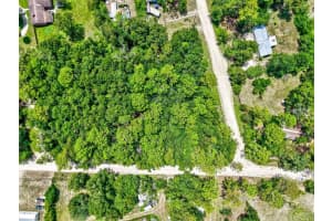 NE 51ST PL, WILLISTON, FL 32696 - MLS#MFRTB8417248