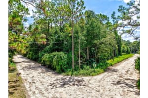 NE 51ST PL, WILLISTON, FL 32696 - MLS#MFRTB8417248