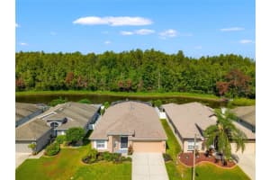 4433 Marchmont Blvd, LAND O LAKES