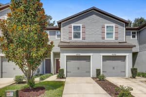 5006 Sylvester Loop, TAMPA