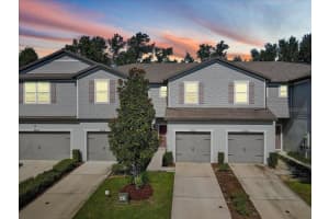 5006 SYLVESTER LOOP, TAMPA, FL 33610 - MLS#MFRTB8417279