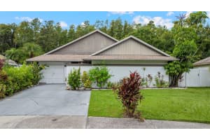 11815 HICKORYNUT DRIVE, TAMPA, FL 33625 - MLS#MFRTB8417283