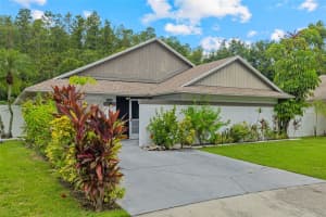 11815 HICKORYNUT DRIVE, TAMPA, FL 33625 - MLS#MFRTB8417283