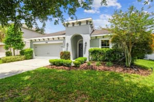 8228 SUNLIT HORIZON LANE, LAND O LAKES, FL 34637 - MLS#MFRTB8417299