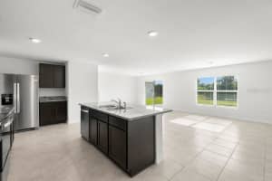 11918 DOWNY BIRCH DRIVE, RIVERVIEW, FL 33569 - MLS#MFRTB8417304