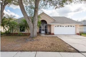 9415 Pebble Glen Ave, TAMPA