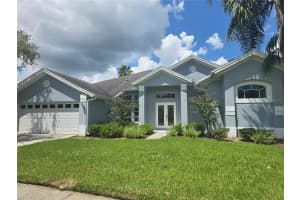 13417 Iola Dr, TAMPA