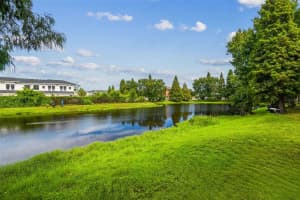 4925 WHITE SANDERLING COURT, TAMPA, FL 33619 - MLS#MFRTB8417343