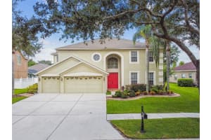 19107 Mandarin Grove Pl, TAMPA