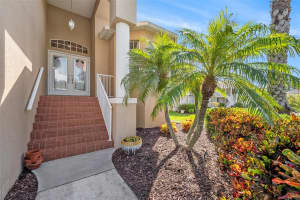 1001 SPOONTAIL COURT, TARPON SPRINGS, FL 34689 - MLS#MFRTB8417403