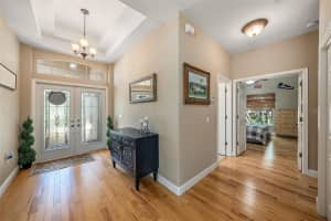 1001 SPOONTAIL COURT, TARPON SPRINGS, FL 34689 - MLS#MFRTB8417403