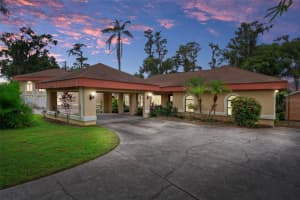 228 Lakeside Dr, LUTZ