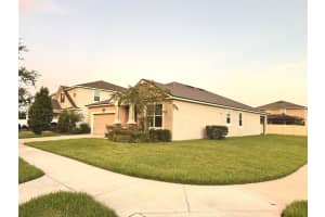 11409 BLUE WOODS DRIVE, RIVERVIEW, FL 33569 - MLS#MFRTB8417414