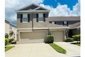 10011 Tranquility Way, TAMPA