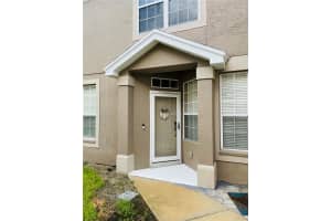 10011 TRANQUILITY WAY, TAMPA, FL 33625 - MLS#MFRTB8417416