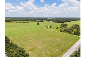 12410 THONOTOSASSA ROAD, THONOTOSASSA, FL 33592 - MLS#MFRTB8417428
