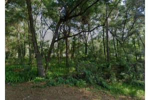 3015 EISENHOWER STREET, INVERNESS, FL 34453 - MLS#MFRTB8417454