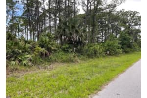 3015 EISENHOWER STREET, INVERNESS, FL 34453 - MLS#MFRTB8417454