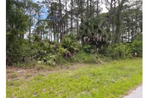 3015 EISENHOWER STREET, INVERNESS, FL 34453 - MLS#MFRTB8417454