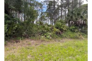 3015 EISENHOWER STREET, INVERNESS, FL 34453 - MLS#MFRTB8417454