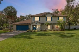 9211 RIVER COVE DRIVE, RIVERVIEW, FL 33578 - MLS#MFRTB8417458