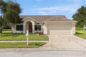 29146 Crossland Dr, WESLEY CHAPEL