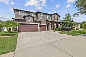 1521 BANNER ELK STREET, VALRICO, FL 33594 - MLS#MFRTB8417487