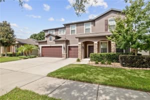 1521 BANNER ELK STREET, VALRICO, FL 33594 - MLS#MFRTB8417487