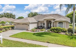 23030 Cypress Trail Dr, LUTZ