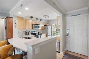 6294 BAHIA DEL MAR CIRCLE, ST PETERSBURG, FL 33715 - MLS#MFRTB8417522
