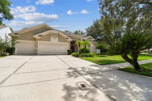 4933 Ebensburg Dr, TAMPA