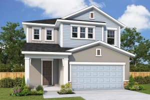 3264 Guanabana Xing, WESLEY CHAPEL