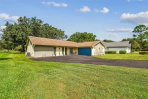 5319 SADDLEBROOK WAY, WESLEY CHAPEL, FL 33543 - MLS#MFRTB8417557