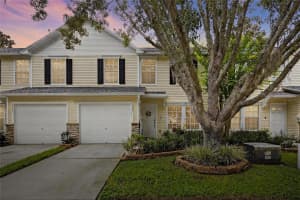 3008 AMBER OAK DRIVE, VALRICO, FL 33594 - MLS#MFRTB8417592