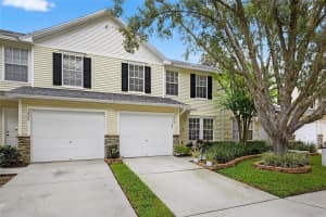 3008 AMBER OAK DRIVE, VALRICO, FL 33594 - MLS#MFRTB8417592