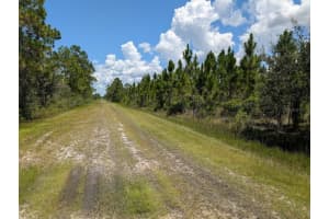 311 HIBISCUS DRIVE, INDIAN LAKE ESTATES, FL 33855 - MLS#MFRTB8417626